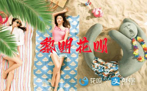 十年寒窗无人问花呗
